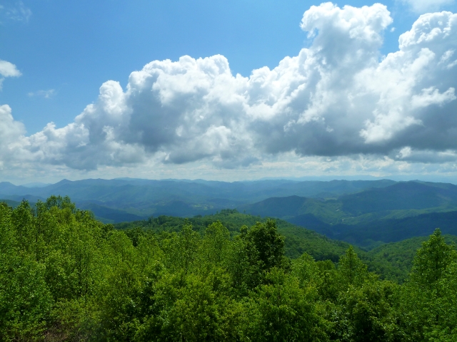 View 1 from Rich Mtn Tower