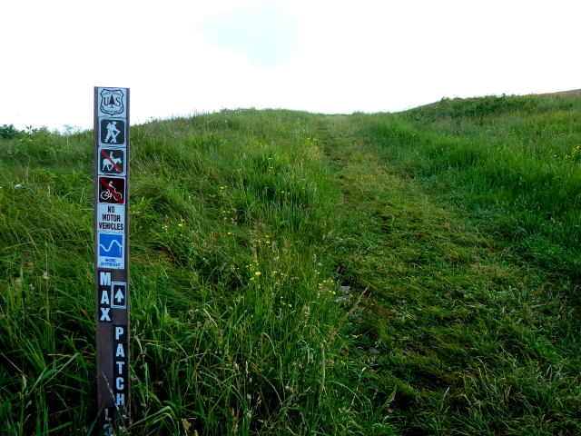 Max Patch Loop Sign