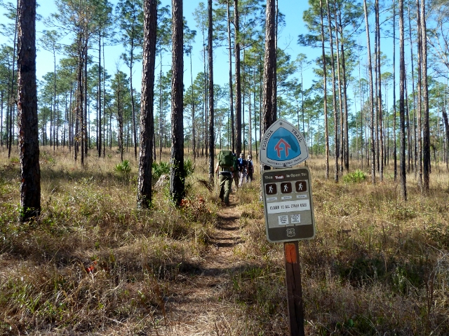 Hiking Florida Trail